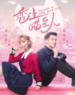 燃烧吧大脑免广告最新版