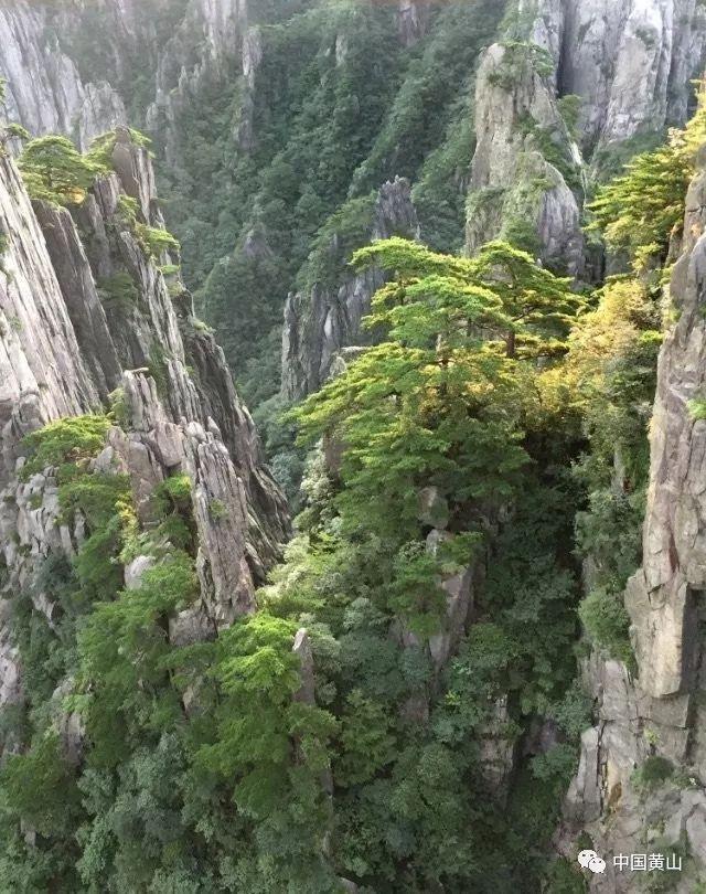 遗憾‼️告别暗恋的文案？
